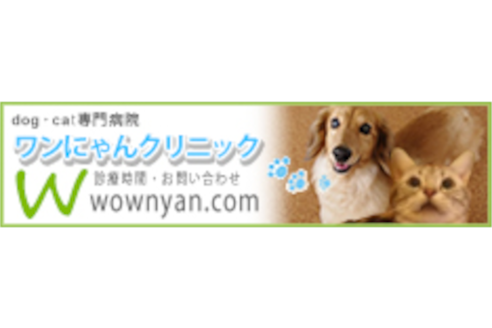 バナー
